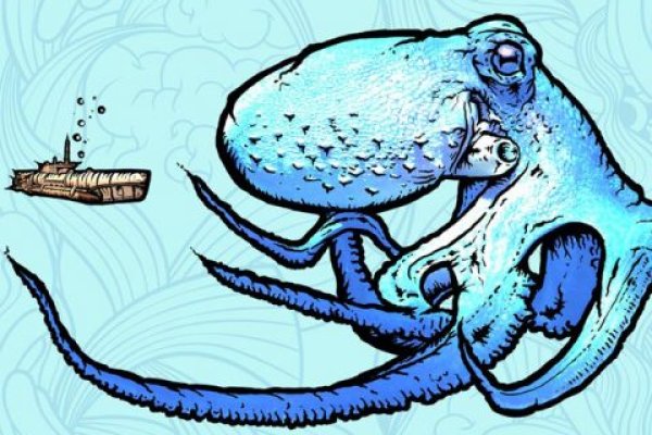 Как вывести деньги с kraken