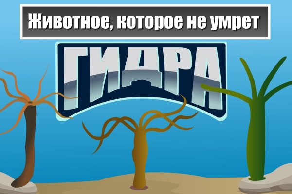 Кракен зеркало маркетплейс