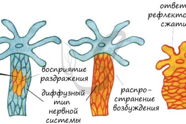 Что такое кракен шоп