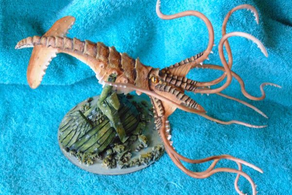 Ссылка на кракен onion kraken dark link