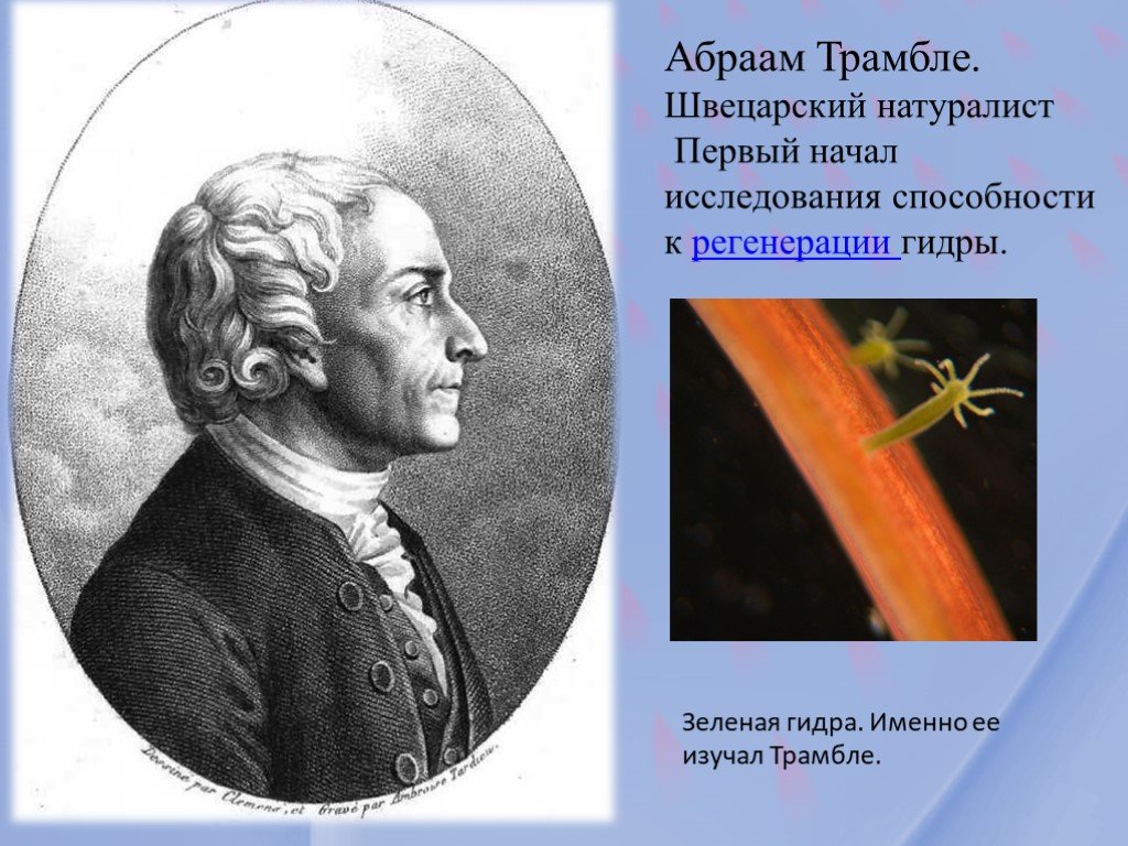 Кракен шеринг